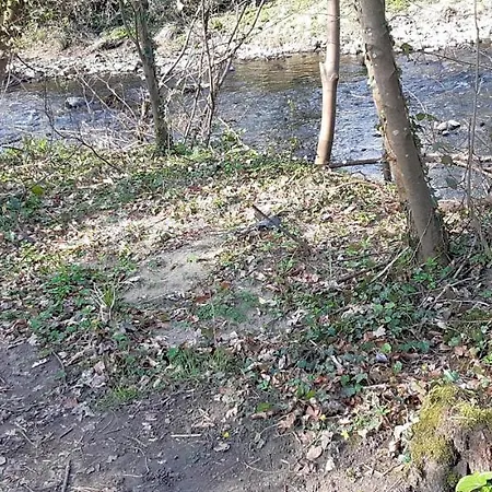 Punch Bowl Hotel Campsite Кемпинг Burton in Lonsdale